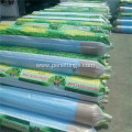 Commercial Tunnel Greenhouse Film for Tomato Planting